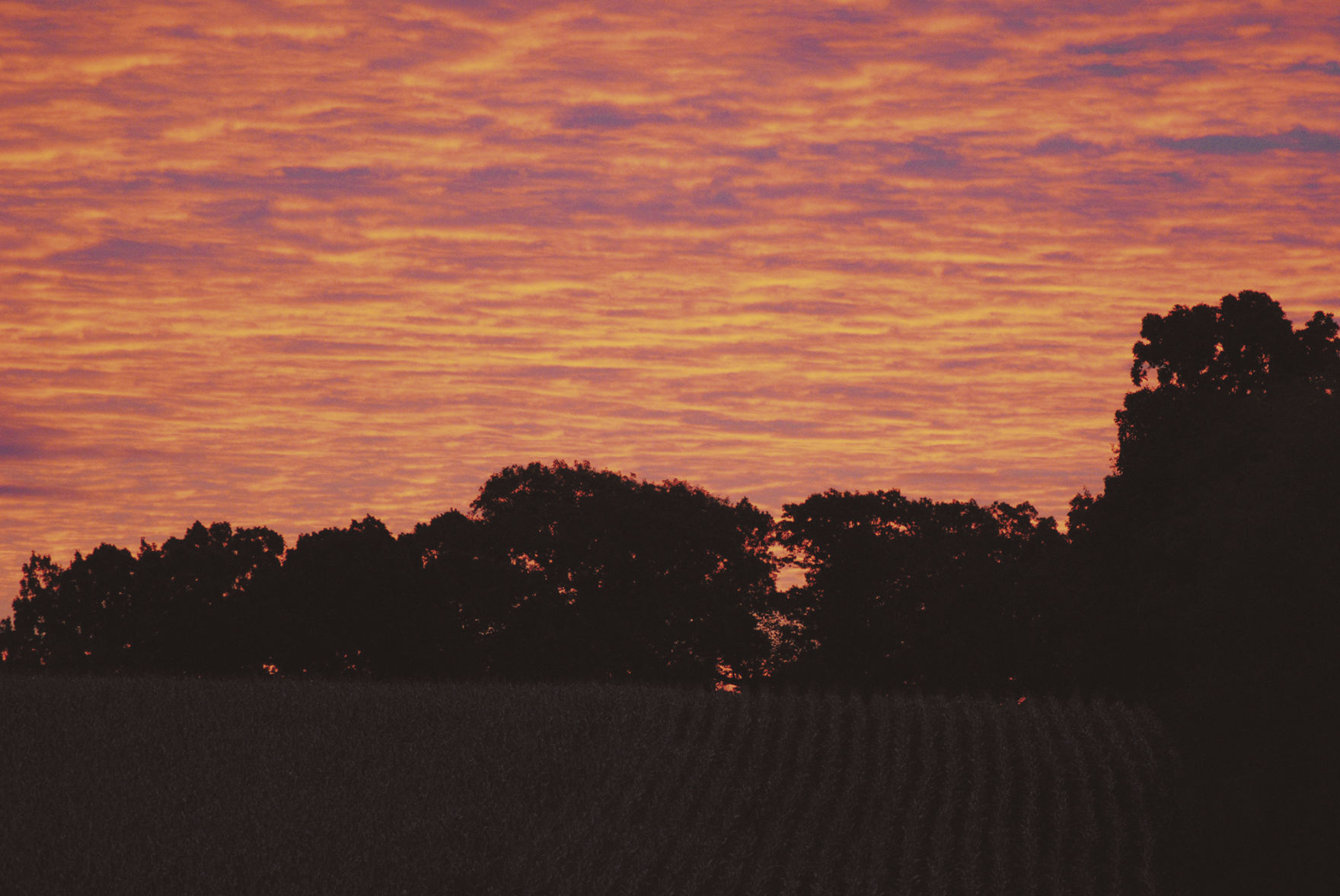 Autumn Air brings beauty